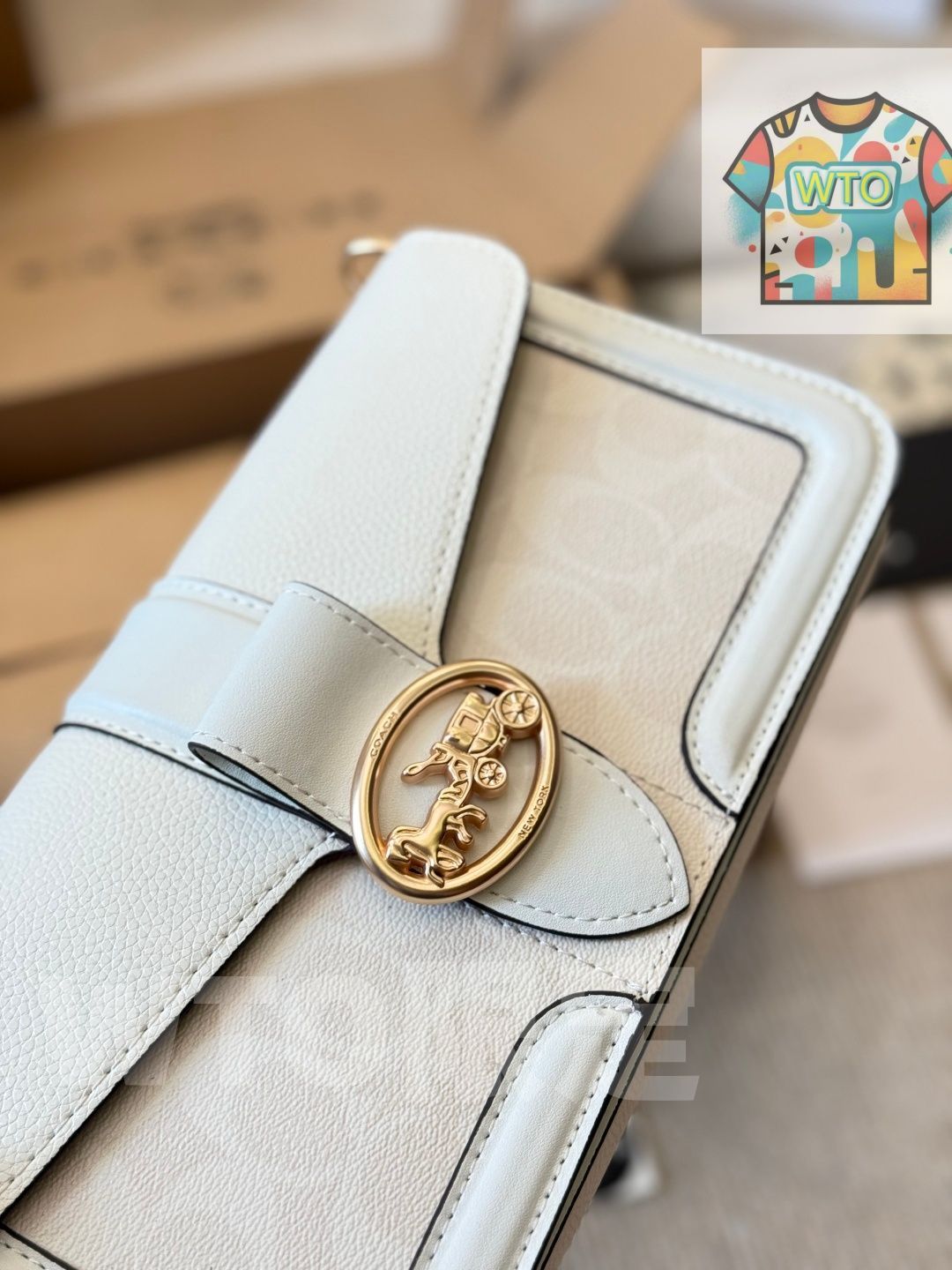 今日WTO】Coach Georgie Colorblock Rivet Messenger Bag