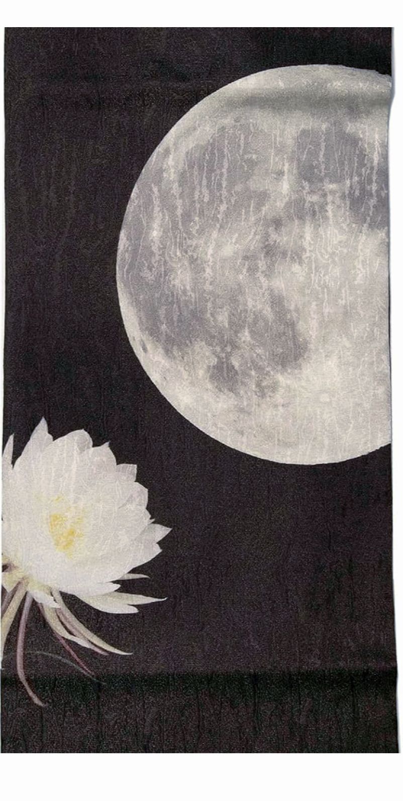  お仕立て上がり 月と月下美人 名古屋帯 obx 14 名古屋帯 帯