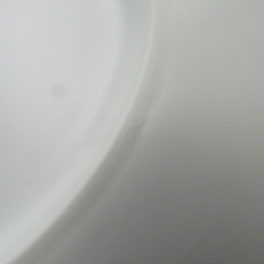 Satoshi Takaku 高久敏士 中皿 22cmプレート 丸皿 白磁 SC9210F2 SKLAD-KIRPICHA_RU