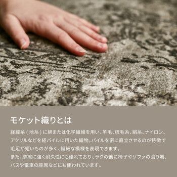 ビオレッタ ブラウン