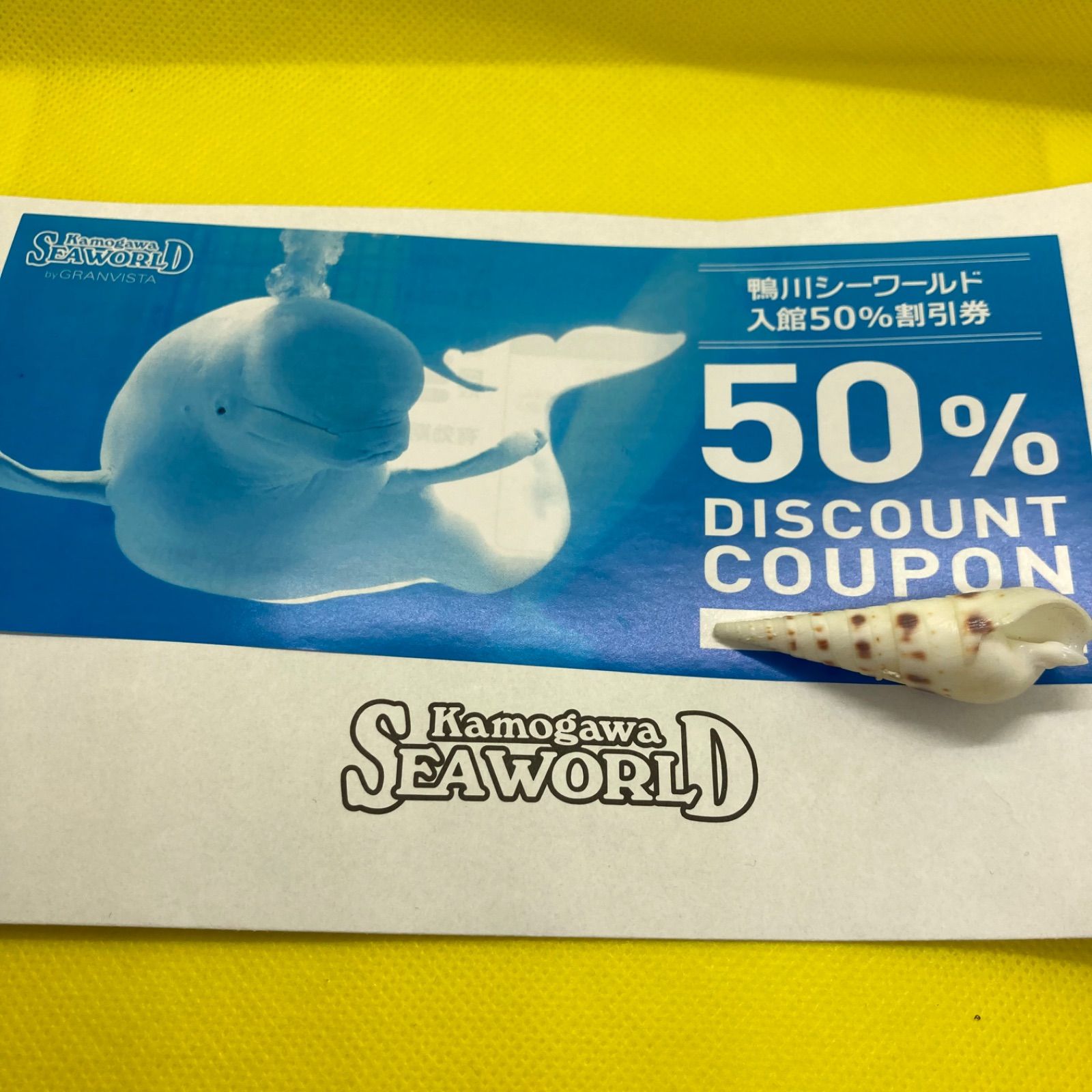 鴨川シーワールドチケット2枚セット 鴨川シーワールド 大人入場券 2枚セット -  日本