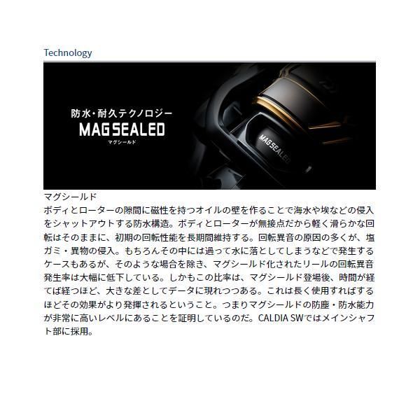 ダイワ daiwa カルディア SW 4000 D-CXH