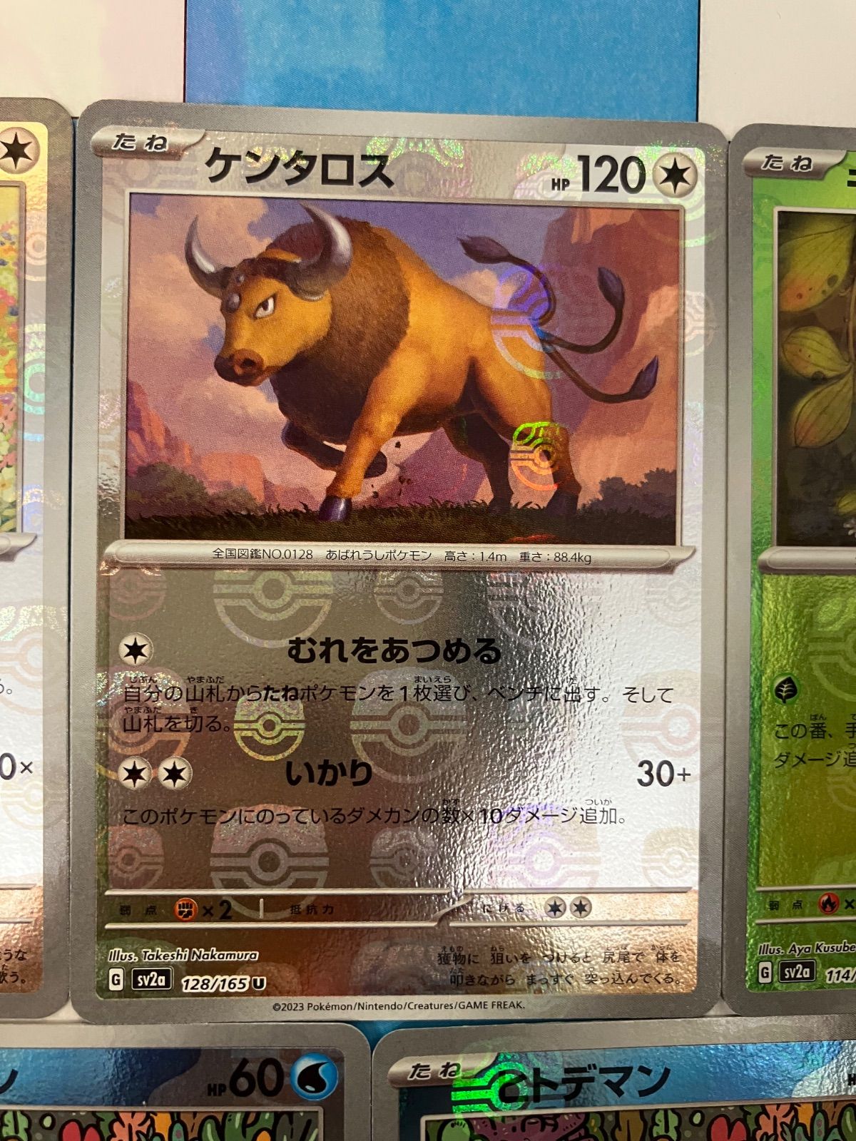 PSA10 ケンタロス マスボミラー 2025年最新】ケンタロス マスターボールの人気アイテム - メルカリ