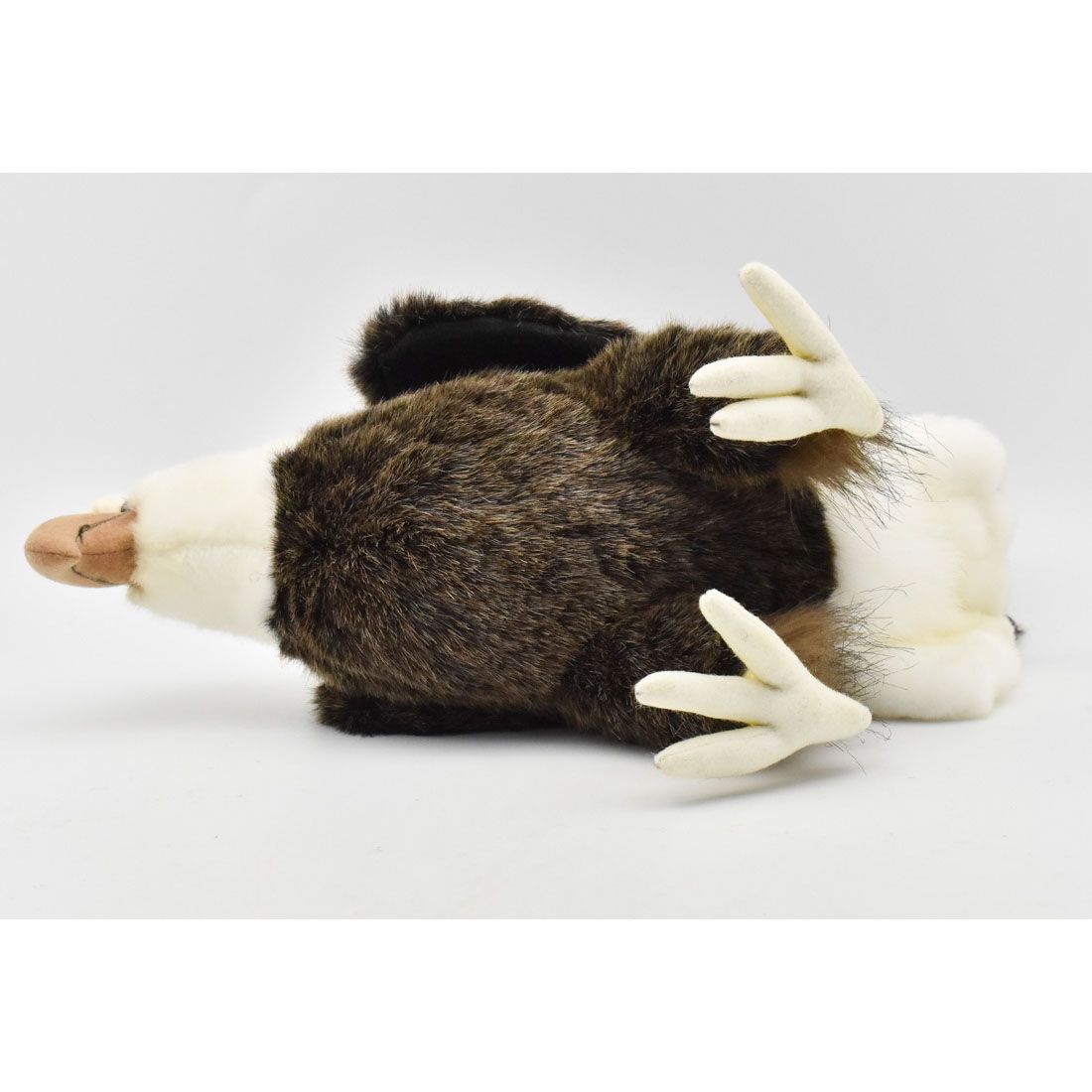 HANSA ハクトウワシ20 H20(cm) 5616 ぬいぐるみ ハンサ 白頭鷲