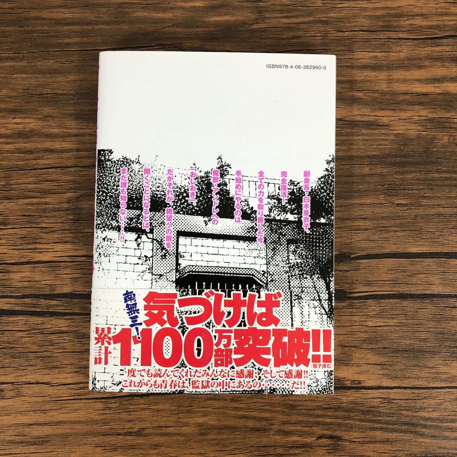 初版 監獄学園24かん/【作者】平本アキラ/GF-0225030287-YP/GF09061