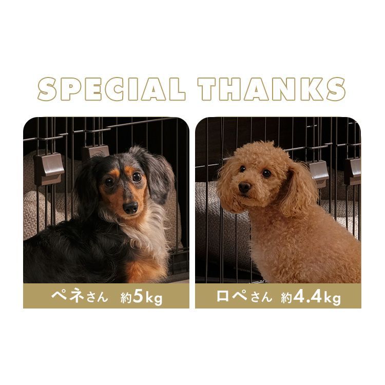 アイリスオーヤマ SWS-1200