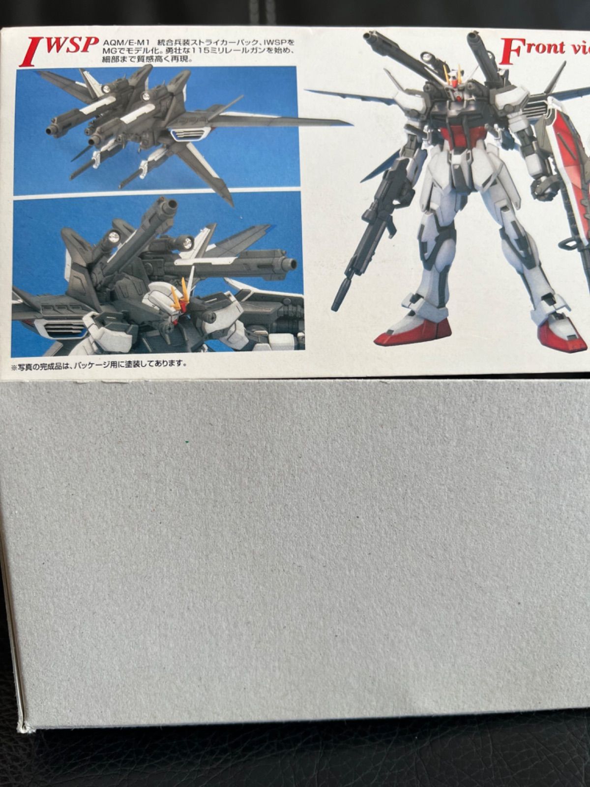 STRIKE GUNDAM I.W.S.P ストライクガンダム MG ガンプラ GAT-X105