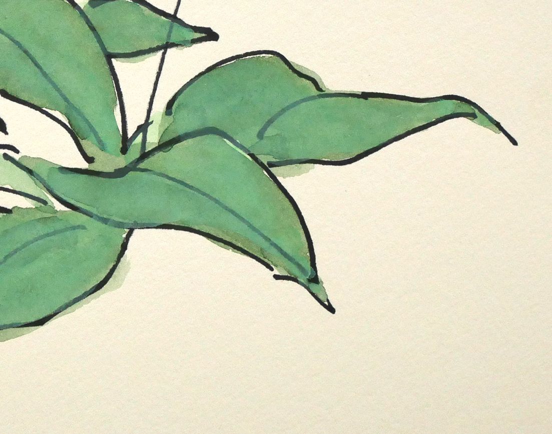 坂本 直行「かたくり」水彩画・SM 六花亭包装紙 北大山岳部OB 坂本龍馬