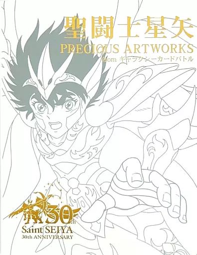 聖闘士星矢 PRECIOUS ARTWORKS from ギャラクシーカードバトル <