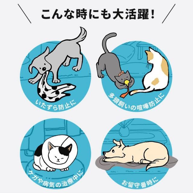 室内 コンビネーションサークル