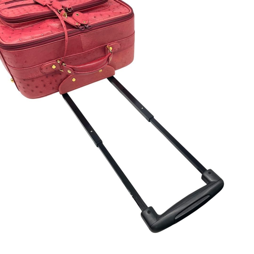 希少✨キャリーケース オーストリッチ ダチョウ トラベル ビジネス 2輪