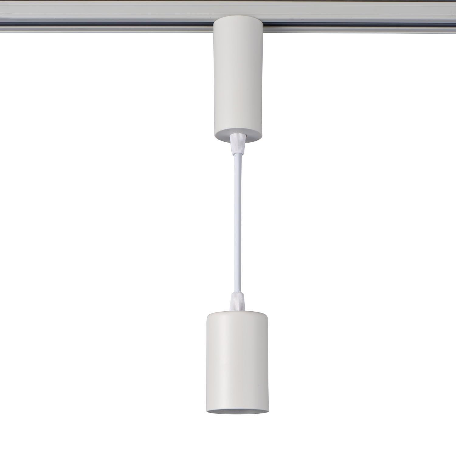 スモークツリー ライムグリーン 薄ピンク ホワイト5月末〜6月上旬発送