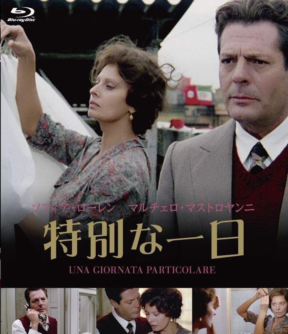 特別な一日 blu-ray
