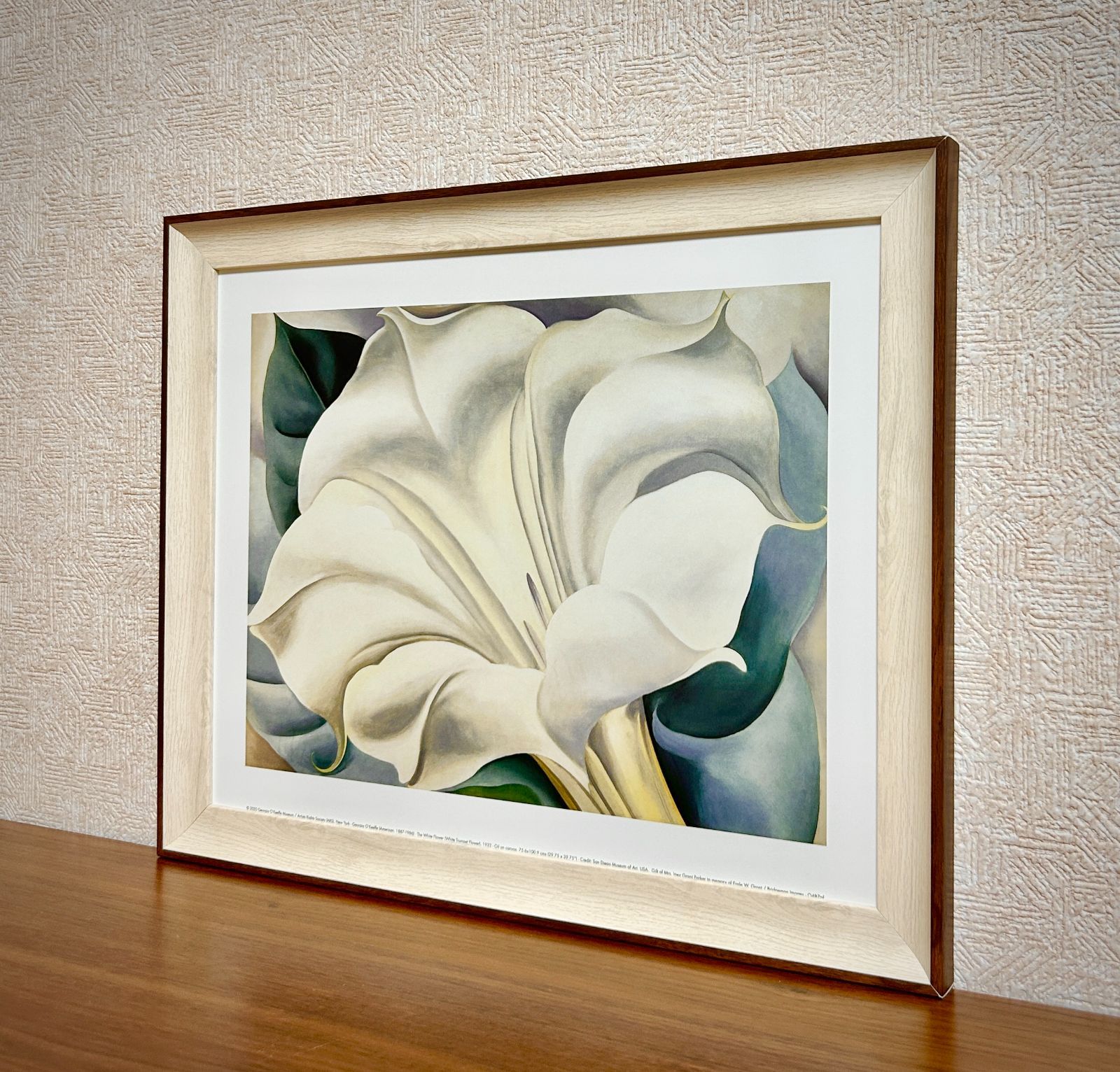 The White Calico Flower （ジョージア オキーフ)ポスター The White Calico Flower 1931（ジョージア オキーフ） ポスター