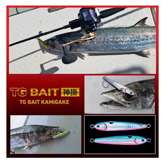 ダイワ TGベイト神掛 120g PHゼブラグロー | 釣具 釣り フィッシング