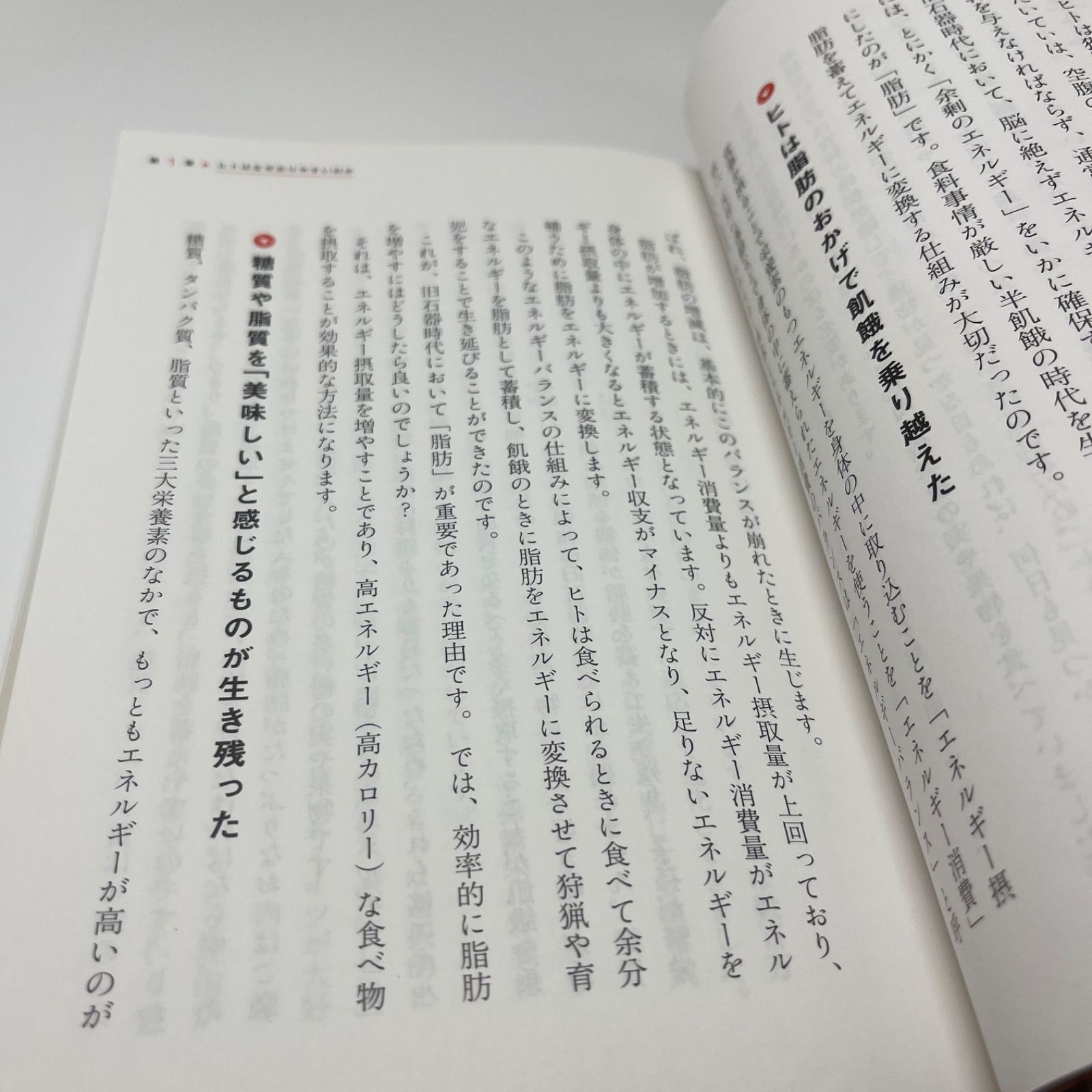 科学的に正しいダイエット 最高の教科書 - メルカリ