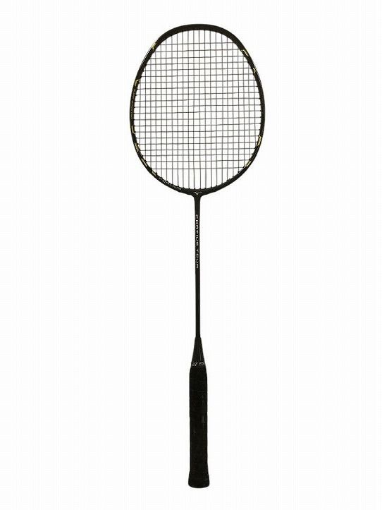 MIZUNO ミズノ FORTIUS TOUR バドミントンラケット 4U5 ソフトケース付 APK600909世