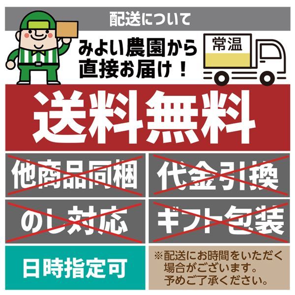 4～6玉入り 南瓜