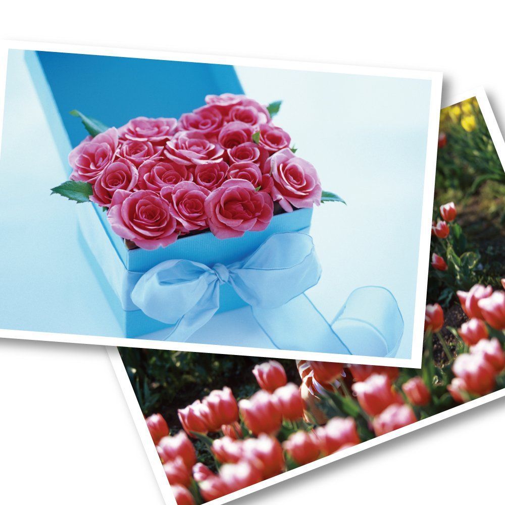 はがき用紙 コクヨ