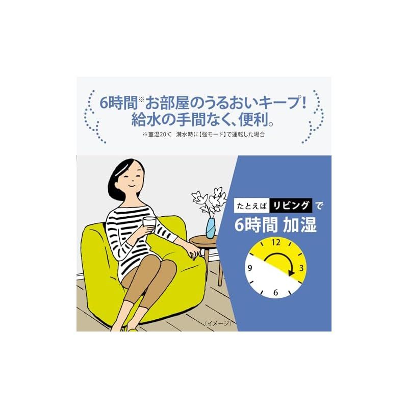 スチーム式 蒸気式