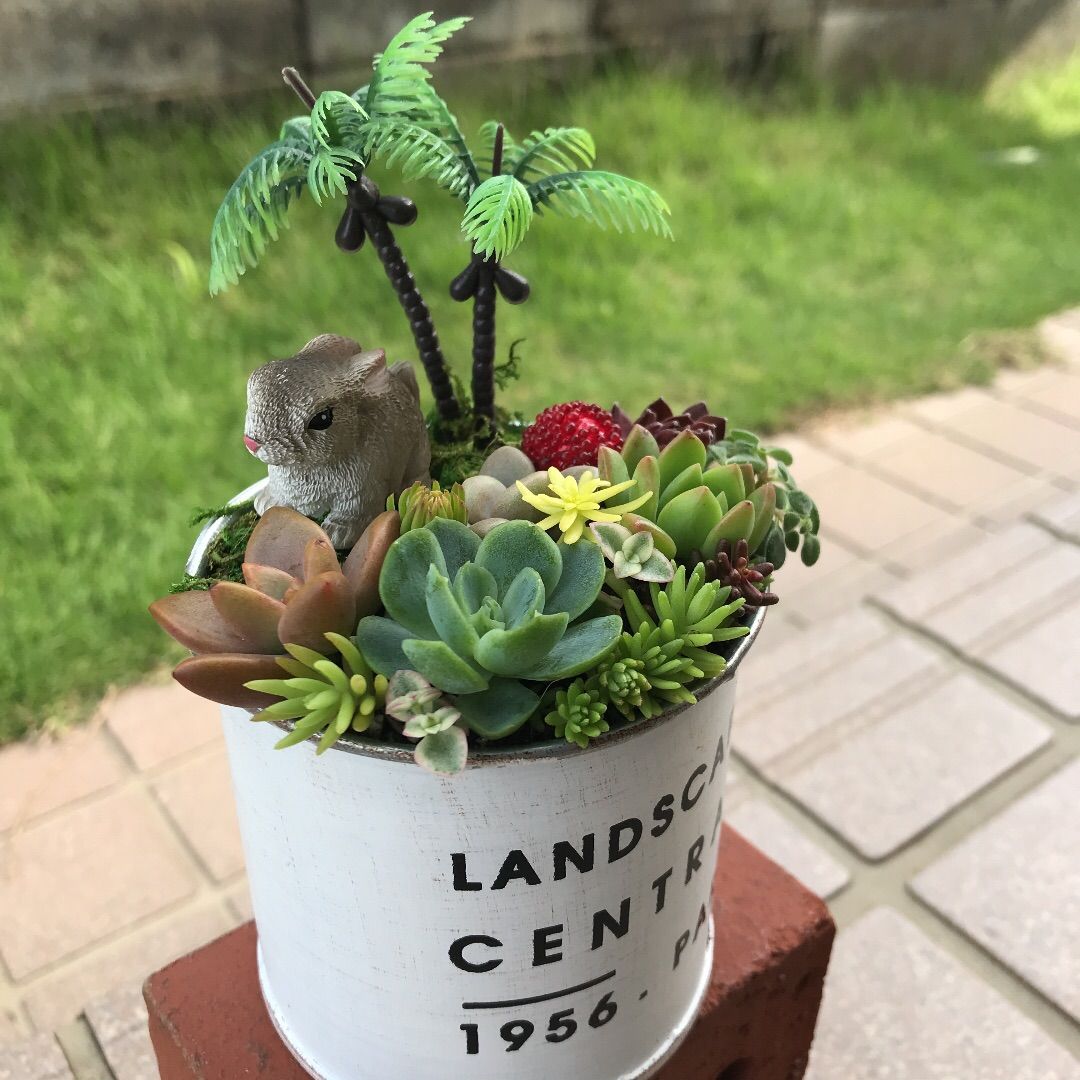 多肉植物の寄せ植え♡うさちゃんのバケーション♡そのまま飾れる www