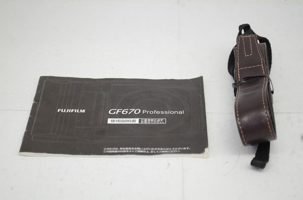 Professional 中判カメラ