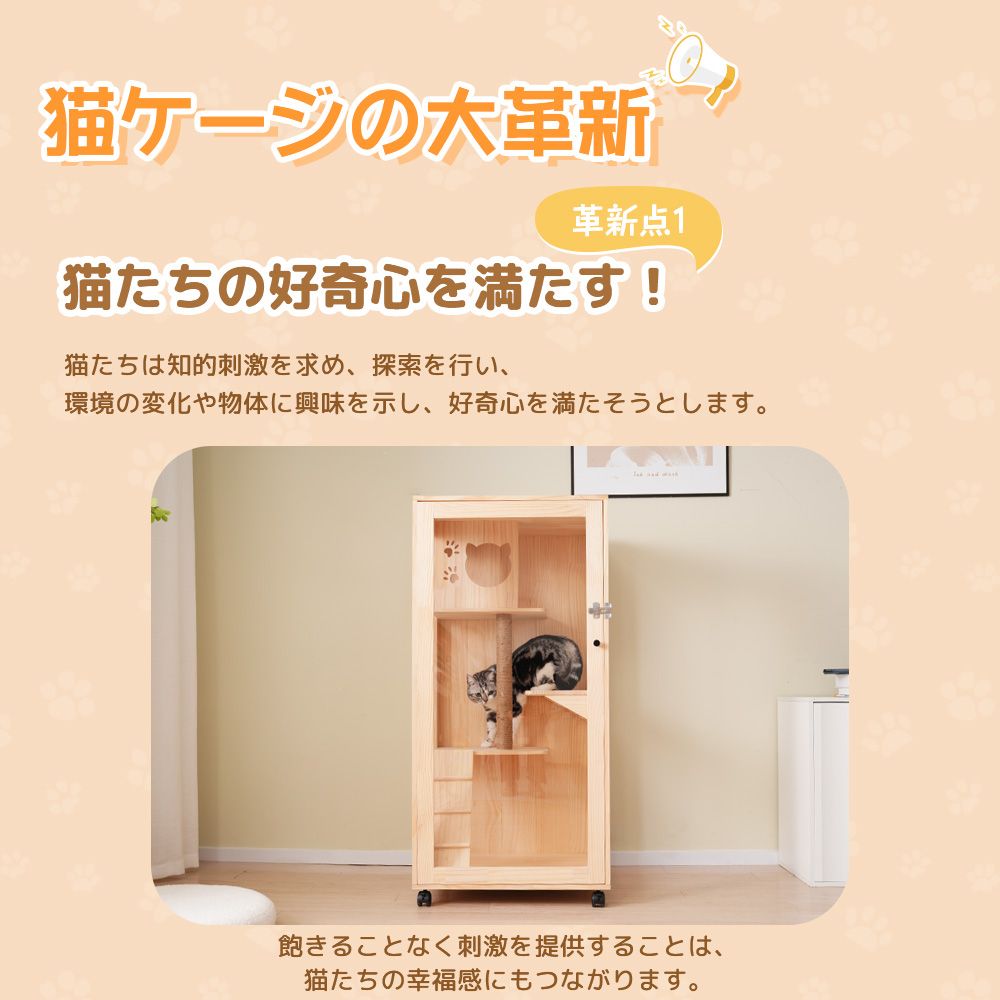 猫 3段