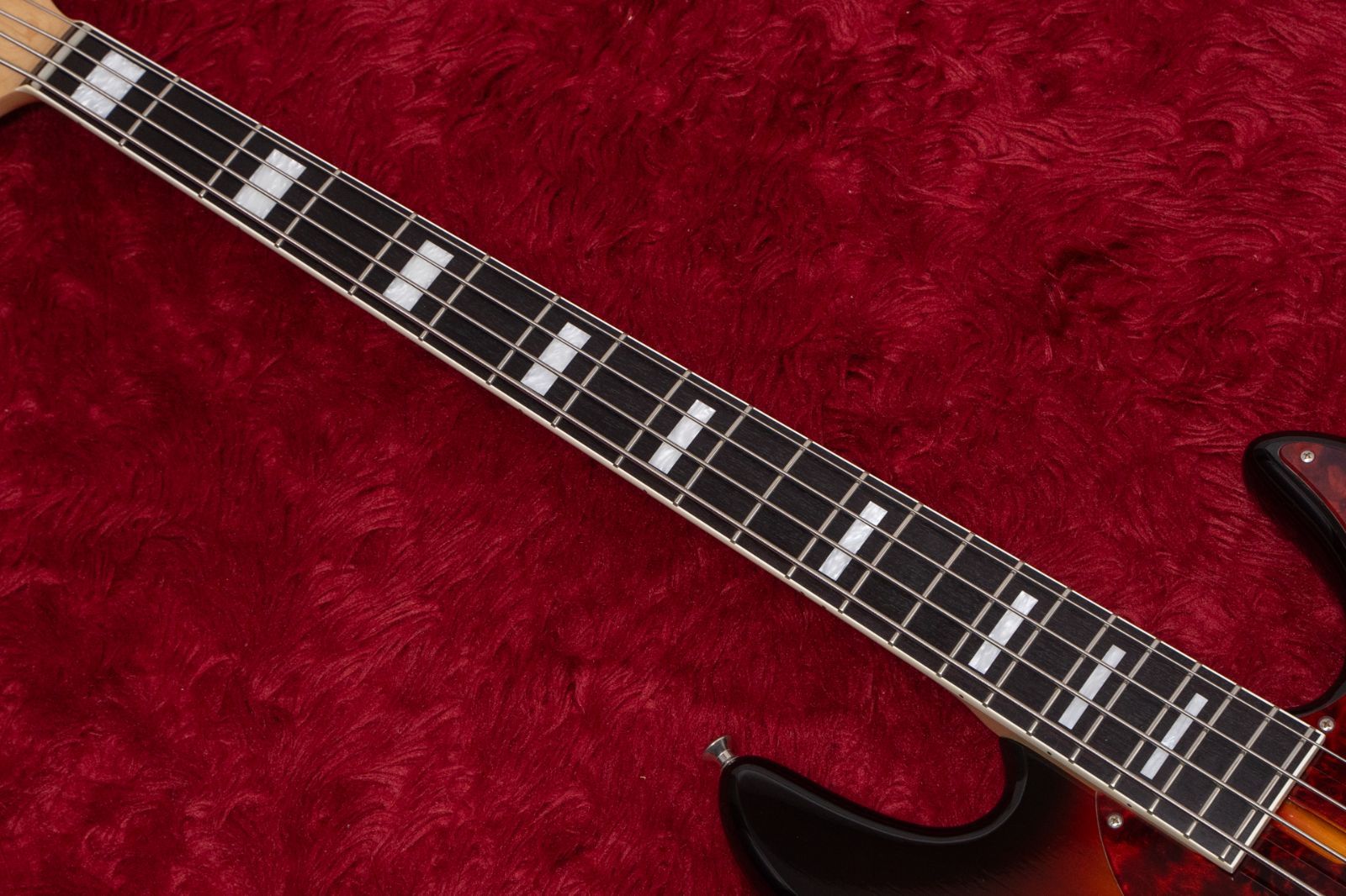 used Fodera