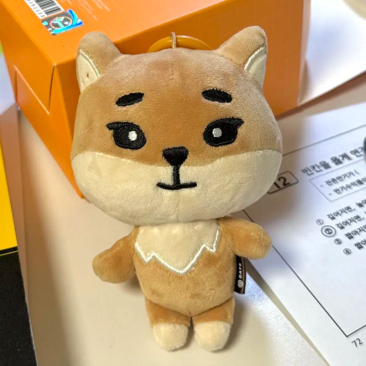 DAY6 The Present YoungK KE ぬい DAY6 デニマルズ 2019 KE YoungK