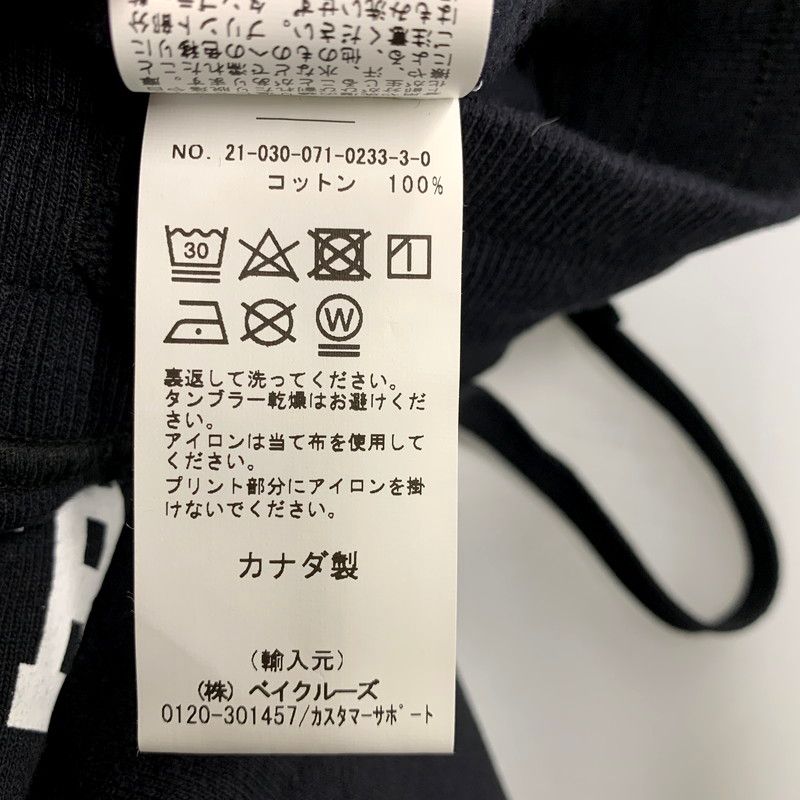 レイニングチャンプ