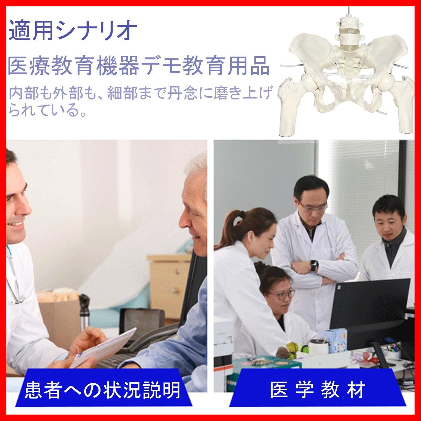 女性等身大