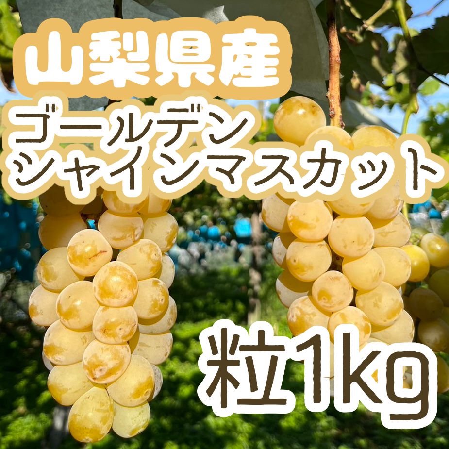 超訳ありシャインマスカット4キロ 【公式通販】