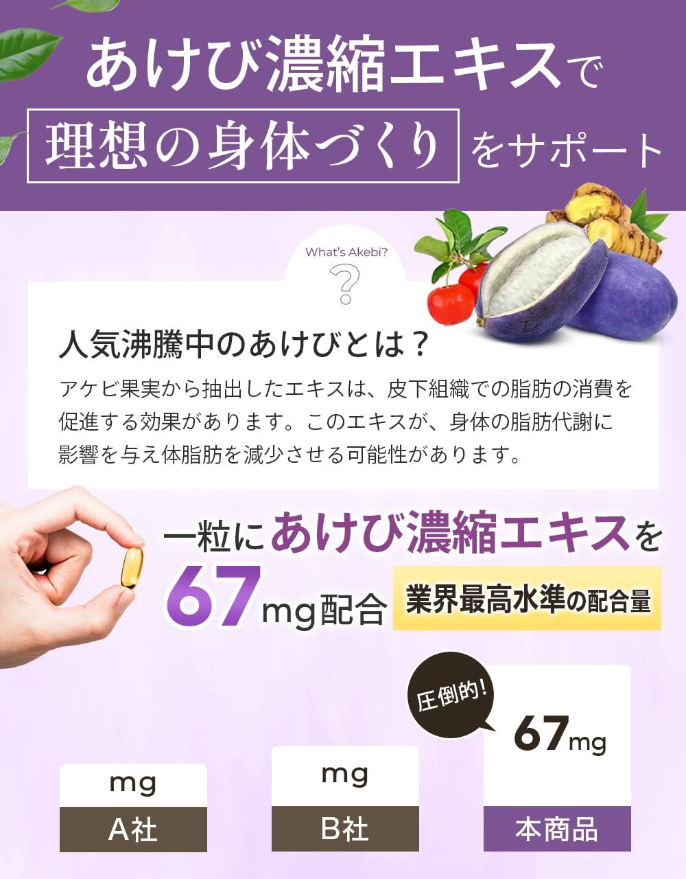 サプリメント