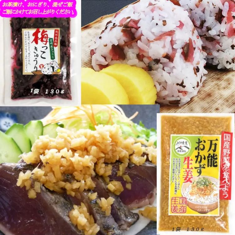 《お試し商品価格》宮崎の漬物 ご飯のお供二選 「梅っこきゅうり」130g×1袋「万能おかず生姜」130g×1袋 お試し ご飯のお供 おにぎり おかず  きざみ　送料無料！　セット販売！！