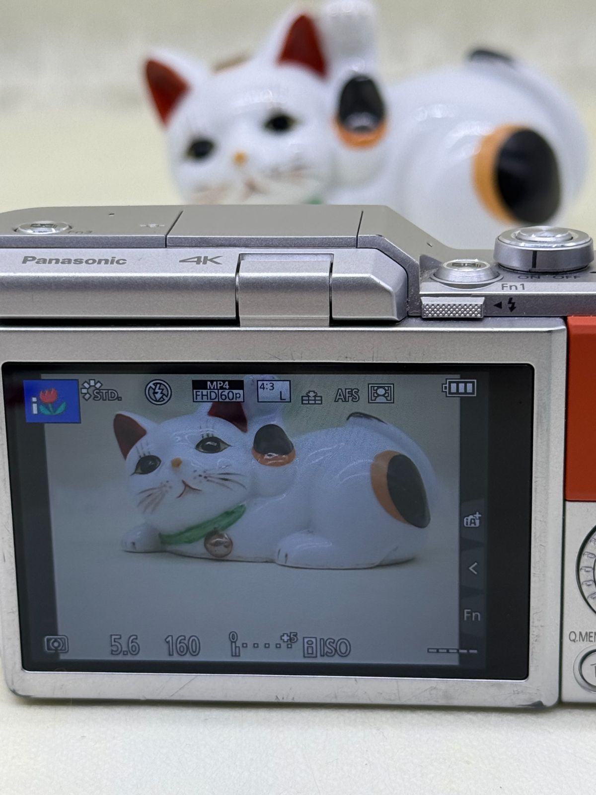 Panasonic DC-GF9W ダブルレンズキット #189 - メルカリ