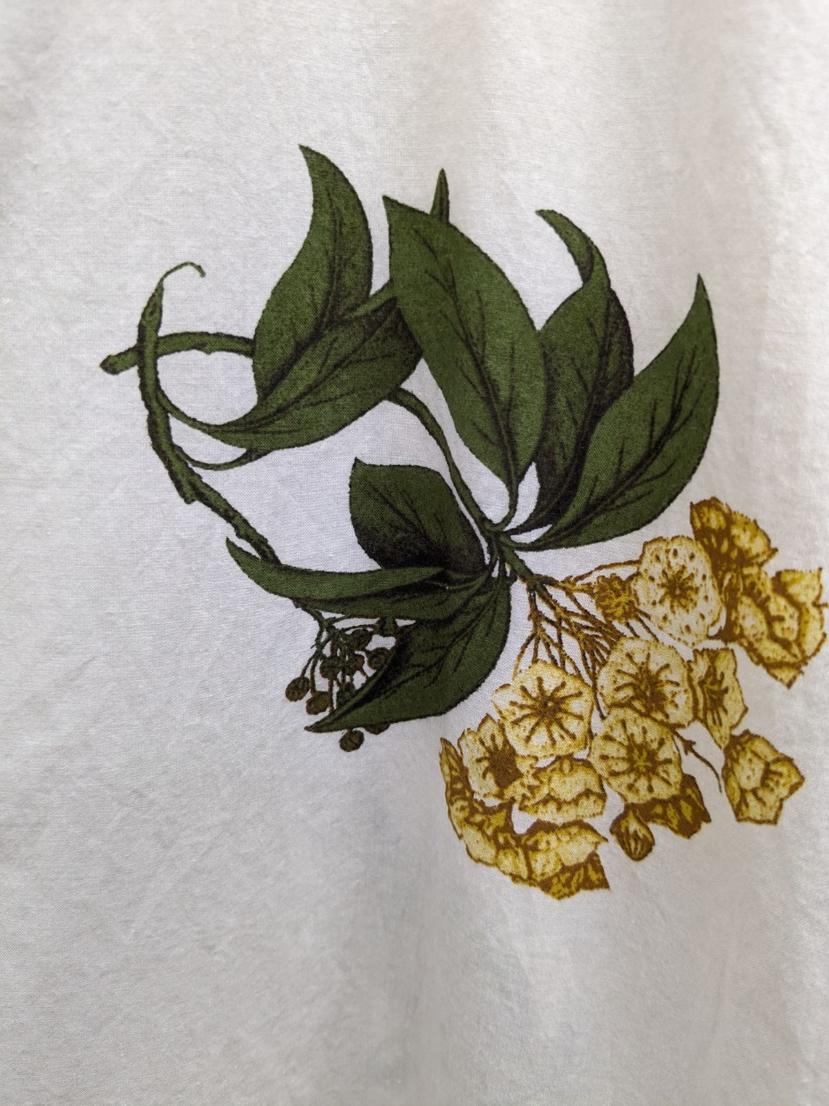 パドカレ pas de calais 夏の植物 プリント 長袖 ブラウス - メルカリ