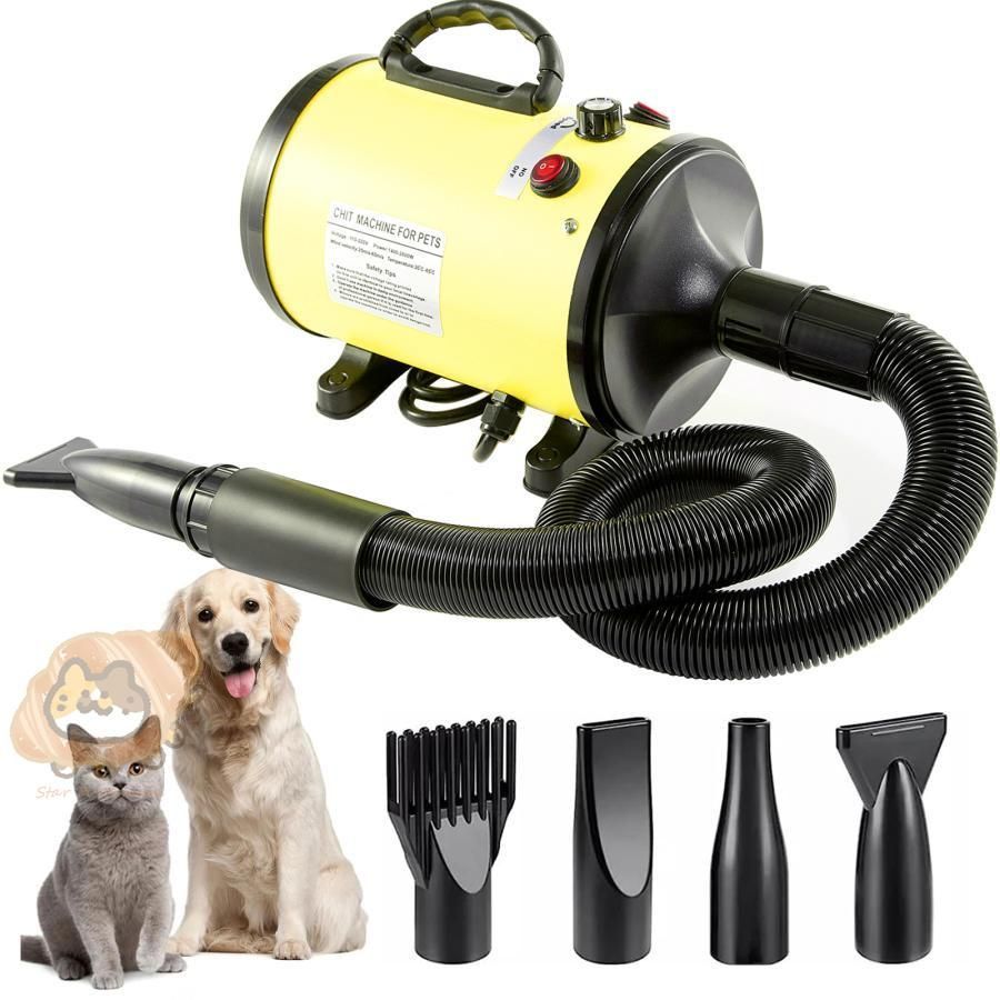 犬
