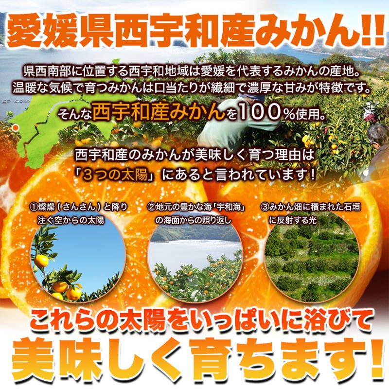 サイズ