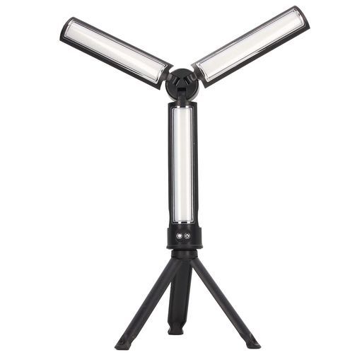 シャロワ、マリー・フランソワ、日本未発売・限定画集画、額付