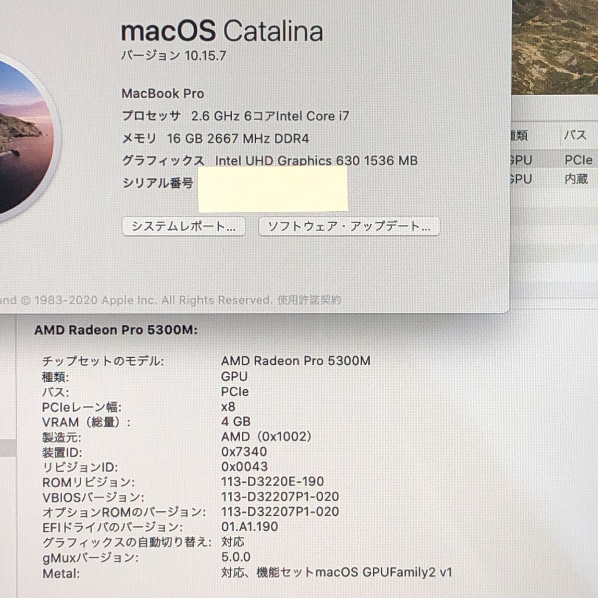 ◇ジャンク品・本体のみ◇Apple MacBook Pro (16インチ 2019)【Radeon