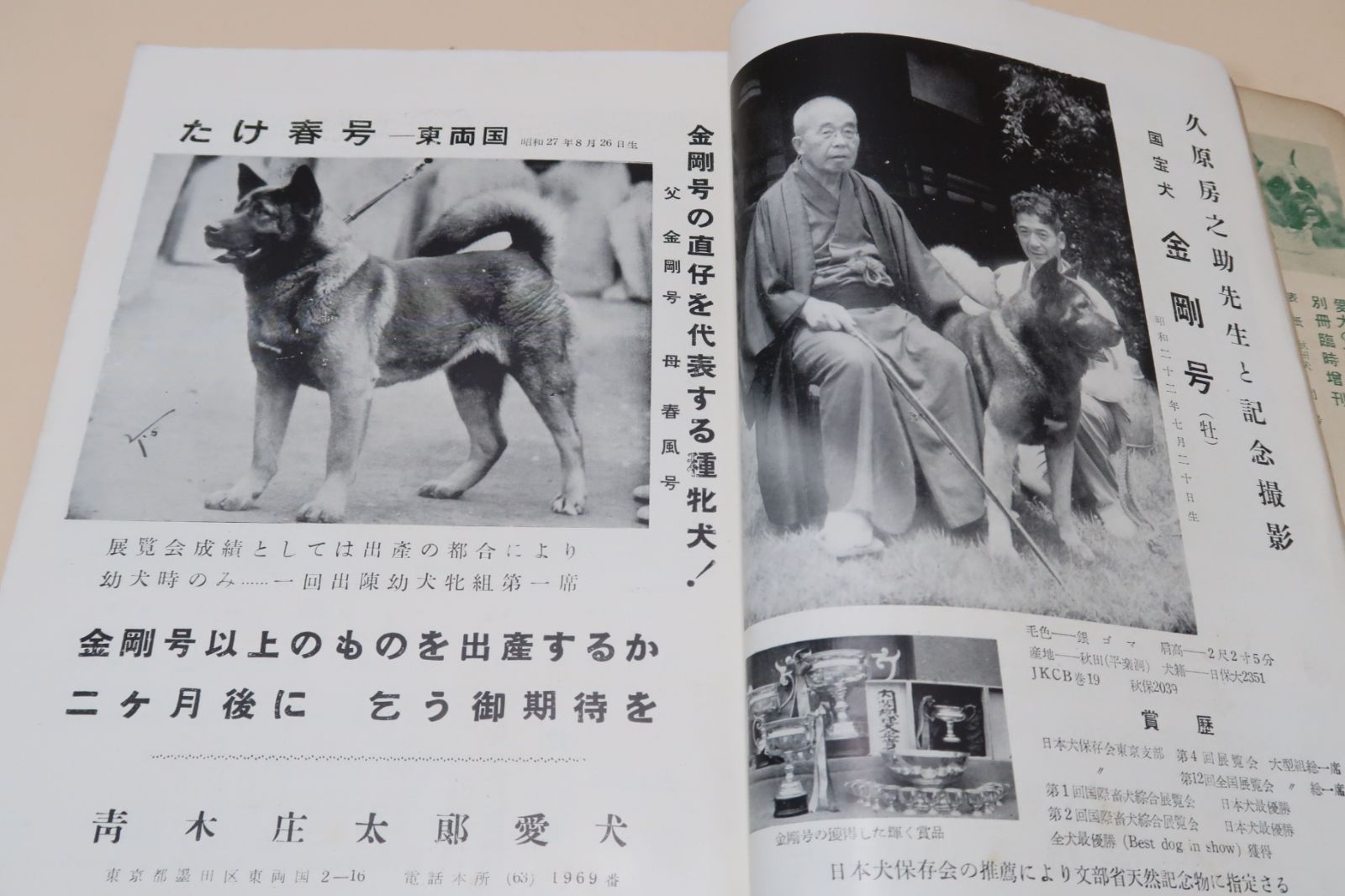 日本名犬写真大観・愛犬の友臨時増刊/昭和29年/日本の犬界が誇る