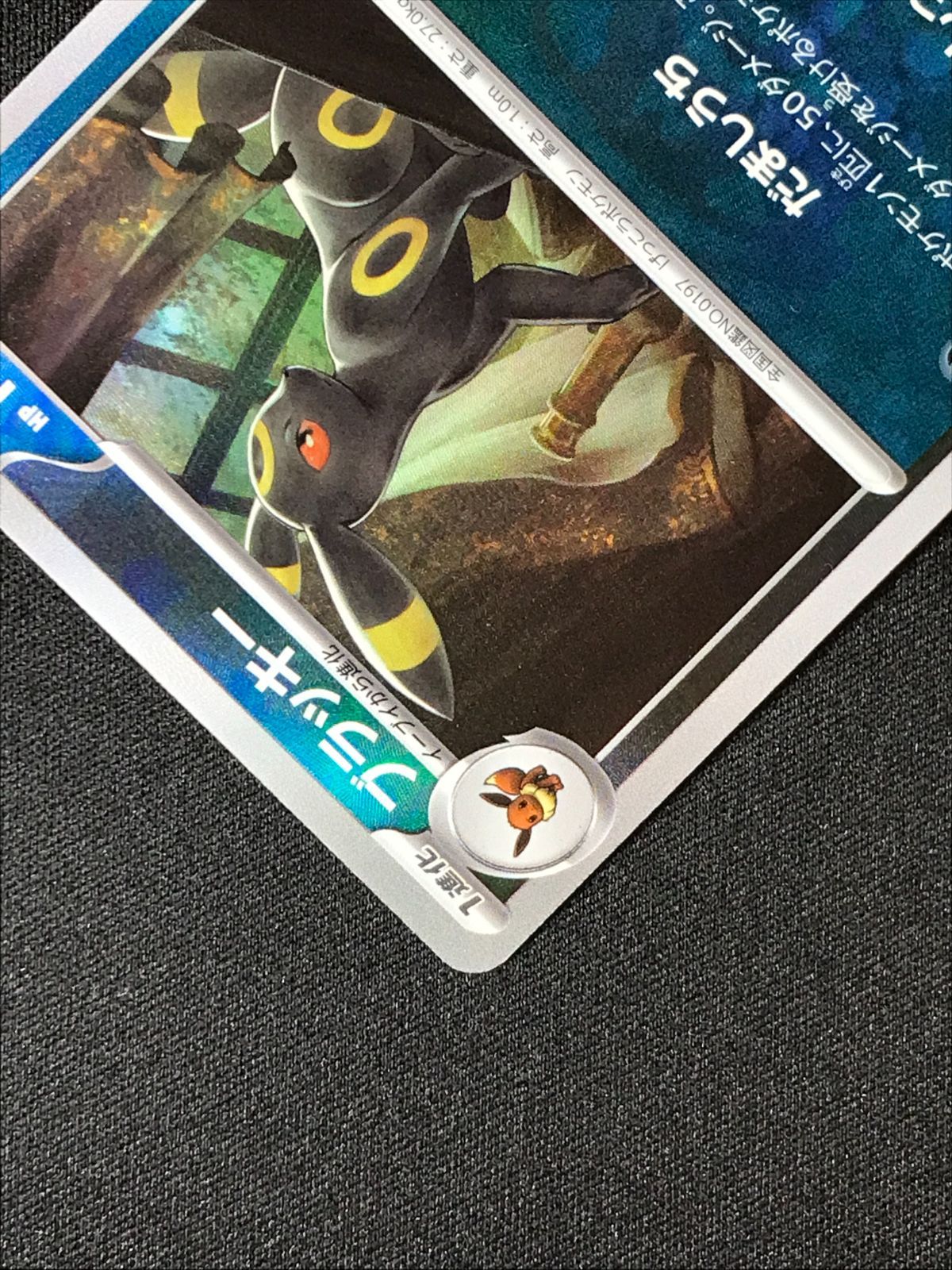 ポケモンカードゲーム ポケカ ブラッキー ミラー(マスターボール