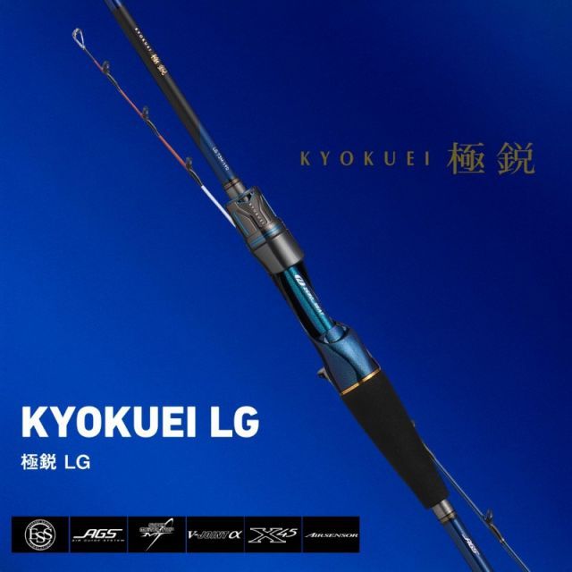 ダイワ 25 極鋭ライトゲーム 73 H-180 | 釣具 釣り フィッシング