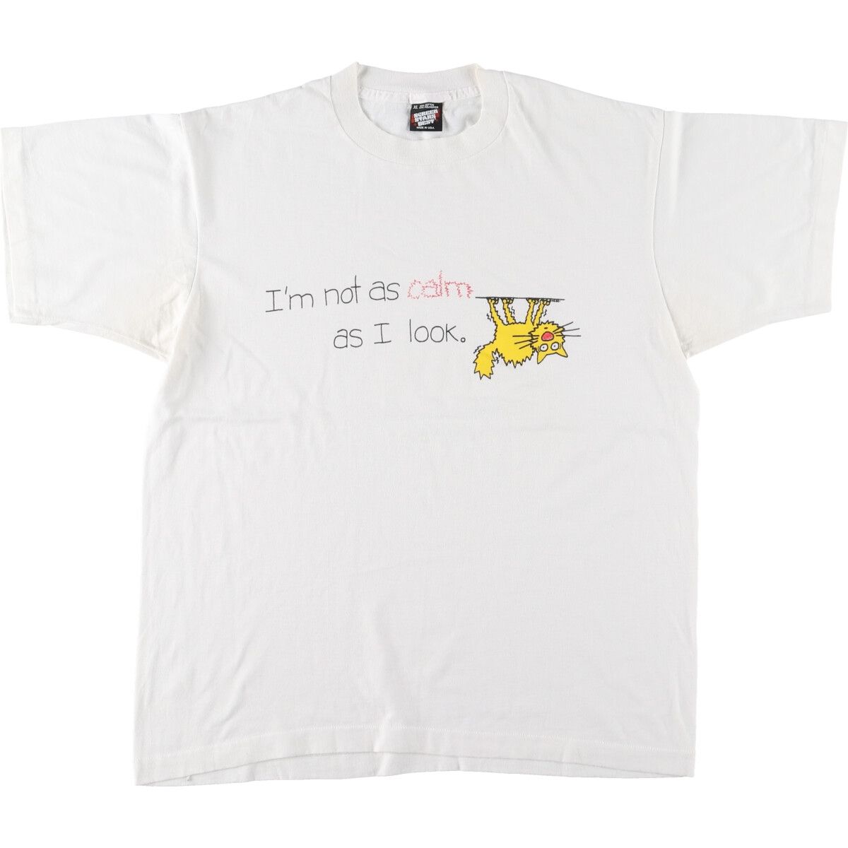 1980年代〜1990年代　SCREENSTARSのプリントTシャツ 古着 90年代 スクリーンスターズ SCREEN STARS プリントTシャツ