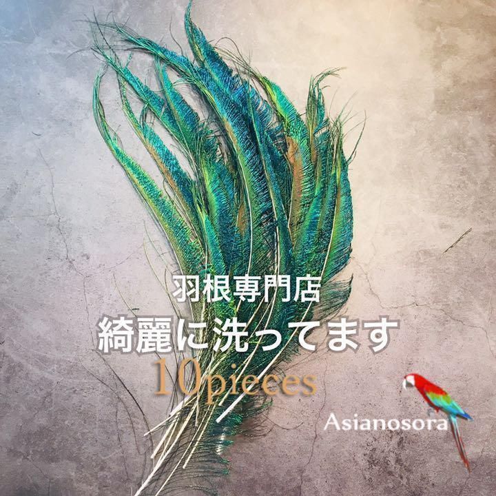 100枚■【クジャク 】孔雀の羽根 目玉 パーツ 鳥 羽根 素材 ❤️【クジャク 5:5】孔雀 羽根 剣 目玉 パーツ 鳥の羽根