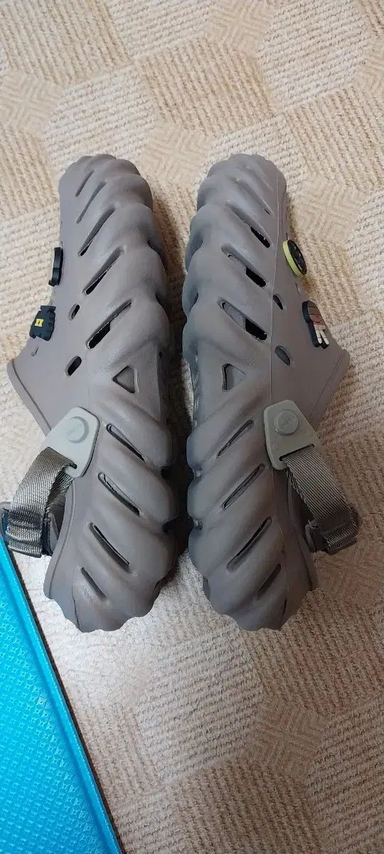 Ecco エコー