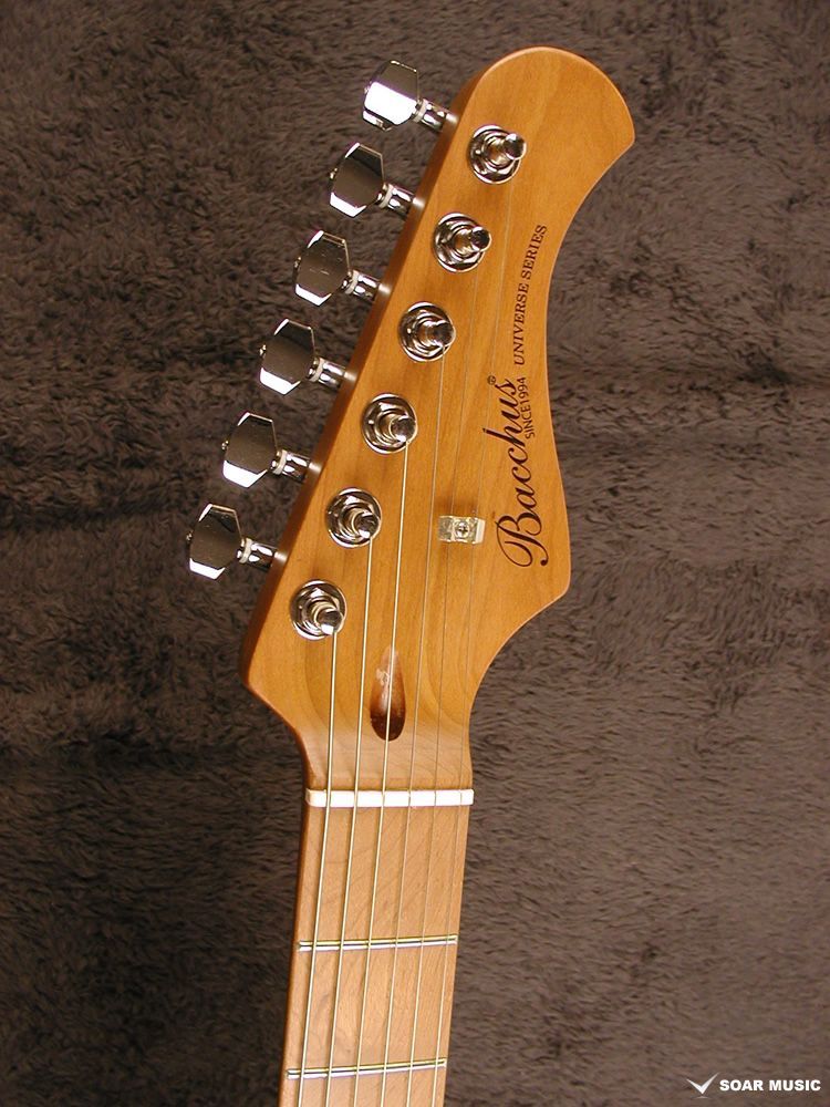 ローステッドメイプルネック採用 2ハムバッカー