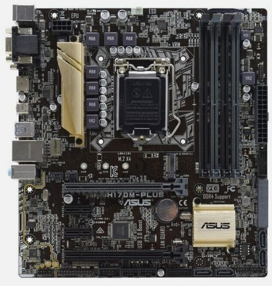 ASUS H170M-PLUS Intel H170 LGA1151 DDR4 SATA3 HDMI DVI-D VGA M-ATX ...