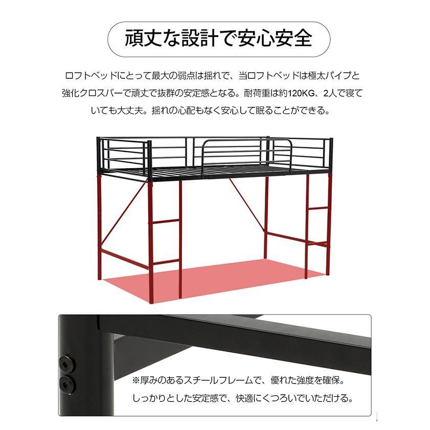 予約販売 10月下旬頃入荷予定