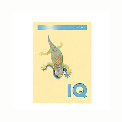 （まとめ） コピー用紙（カラー用紙） 伊東屋 バイオトップカラー クリーム BT701 9003974406671 1冊【×5セット】